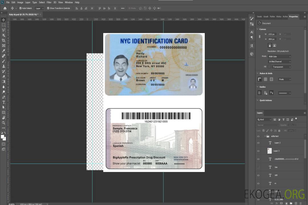 Carte d'identité États-Unis New York template Carte d'identité États-Unis New York template